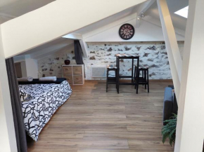 Loft Cosy NICE centre ville